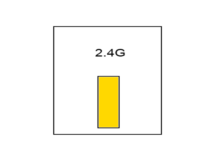LED-2-4G-Amber.gif